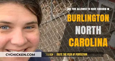 Chicken in Burlington, North Carolina: Allowed or Not?