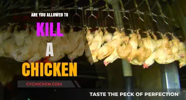 Is Killing Chickens Legal? Ethical and Legal Considerations Explained