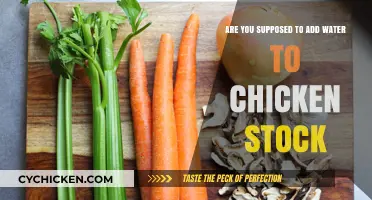 How to Make Chicken Stock: To Add, or Not to Add Water?