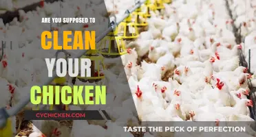 Should You Clean Your Chicken? Debunking Myths and Best Practices