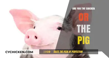 Commitment vs. Involvement: Are You the Chicken or the Pig?