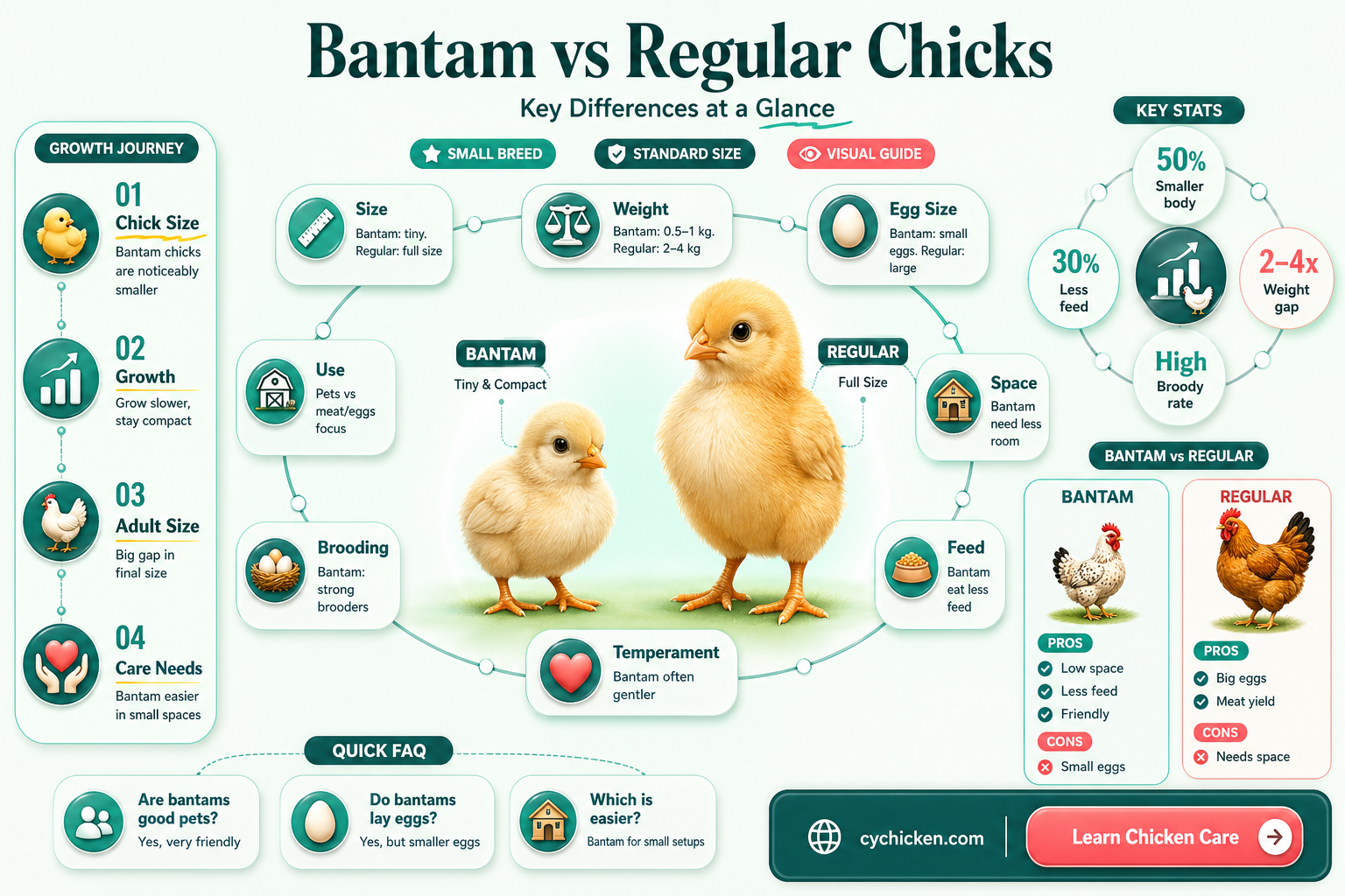 are bantam chickens smaller than regular chicks