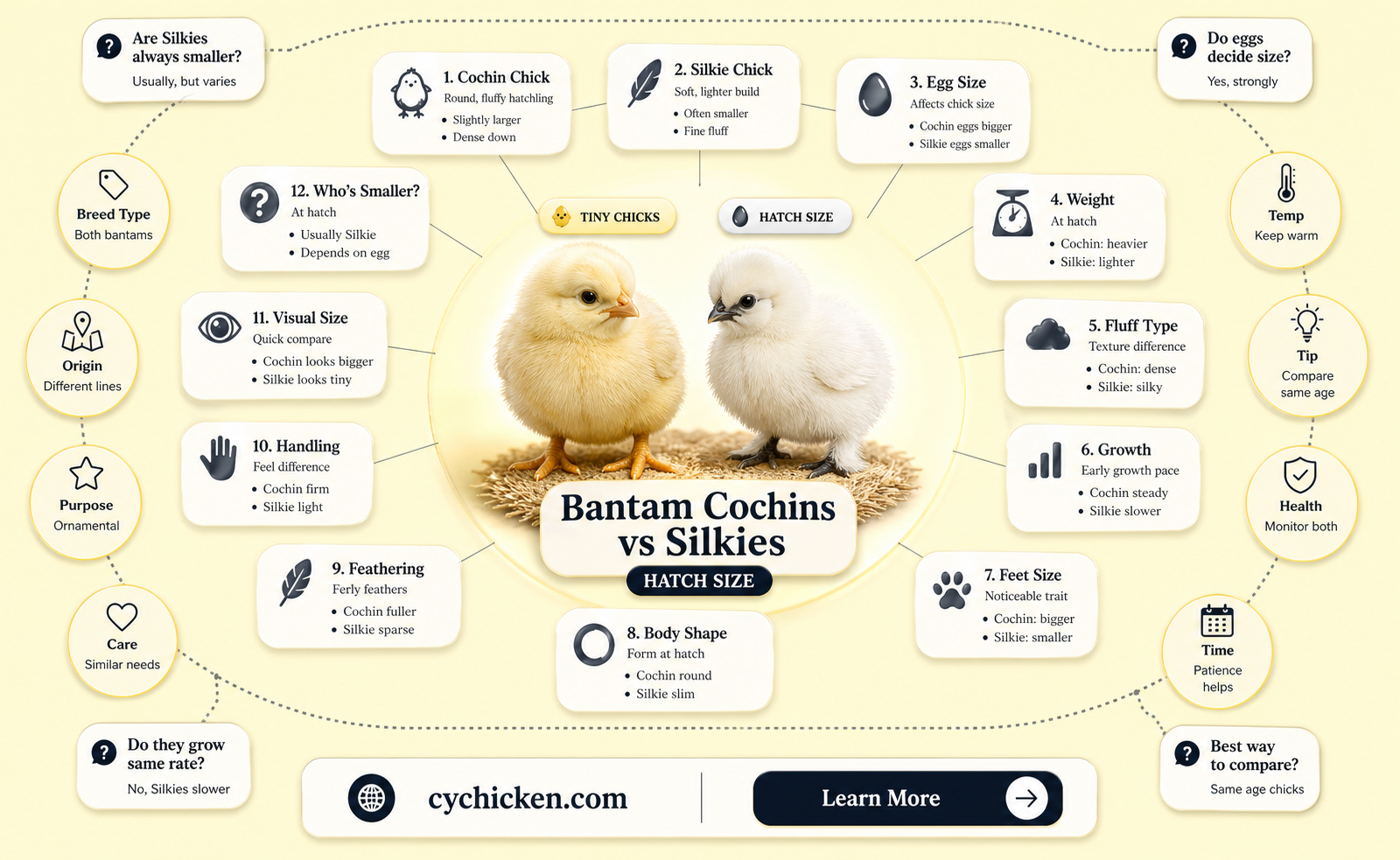 are bantam cochins smaller than silkie chicks when hatched