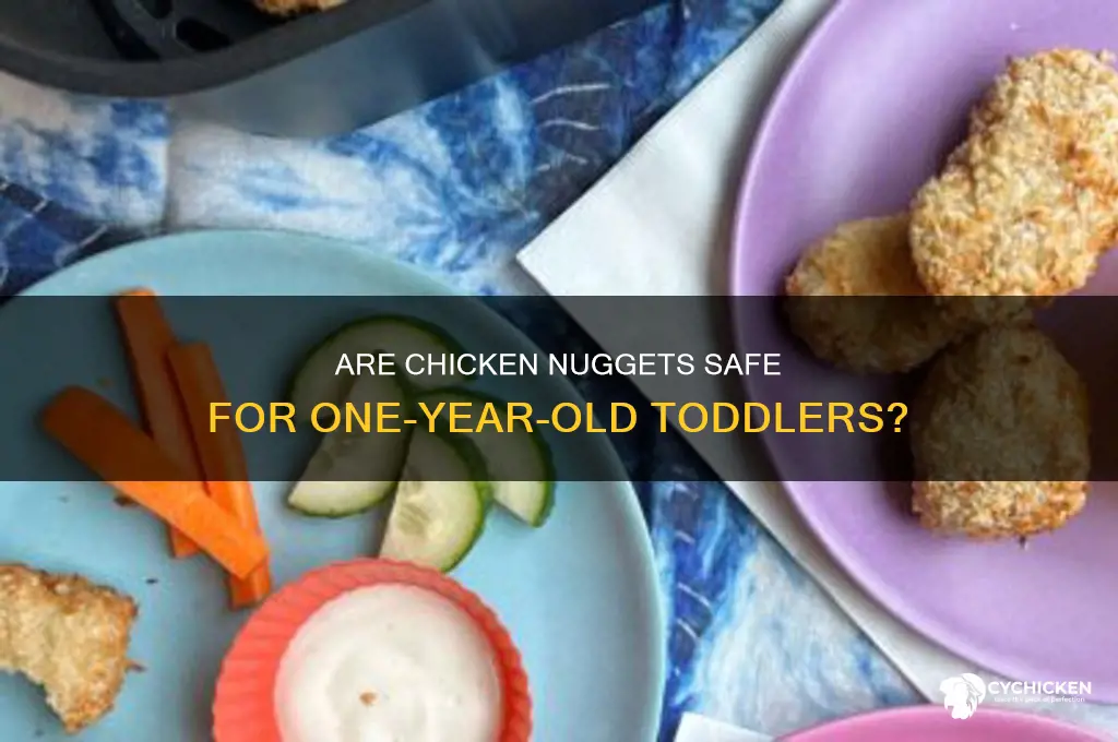 can 1 year old have chicken nuggets