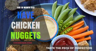 Introducing Chicken Nuggets to Your 10-Month-Old: Safe or Risky?