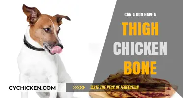 Can Dogs Safely Eat Chicken Thigh Bones? Vet-Approved Advice