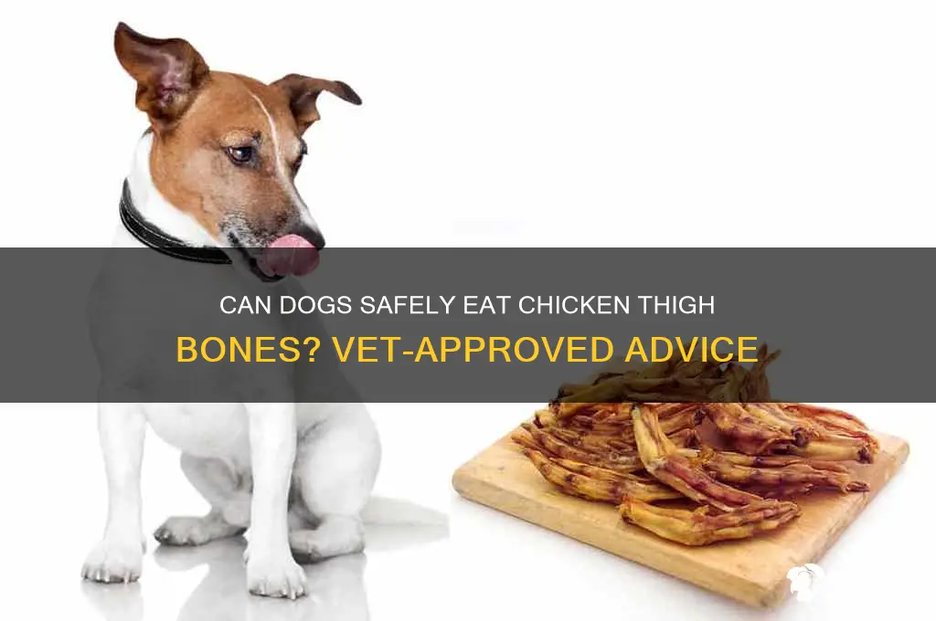 can a dog have a thigh chicken bone