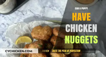 Can Puppies Eat Chicken Nuggets? A Vet's Guide to Safe Treats