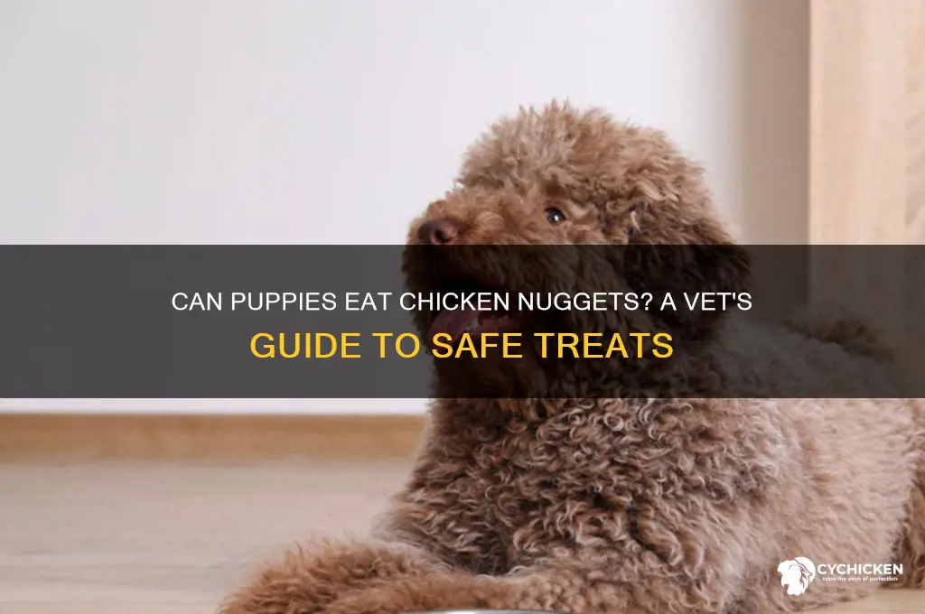 can a puppy have chicken nuggets