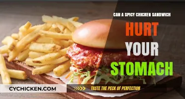 Spicy Chicken Sandwich: Stomach-Friendly or Digestive Nightmare?