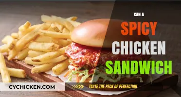 Can a Spicy Chicken Sandwich Transform Your Lunchtime Routine?