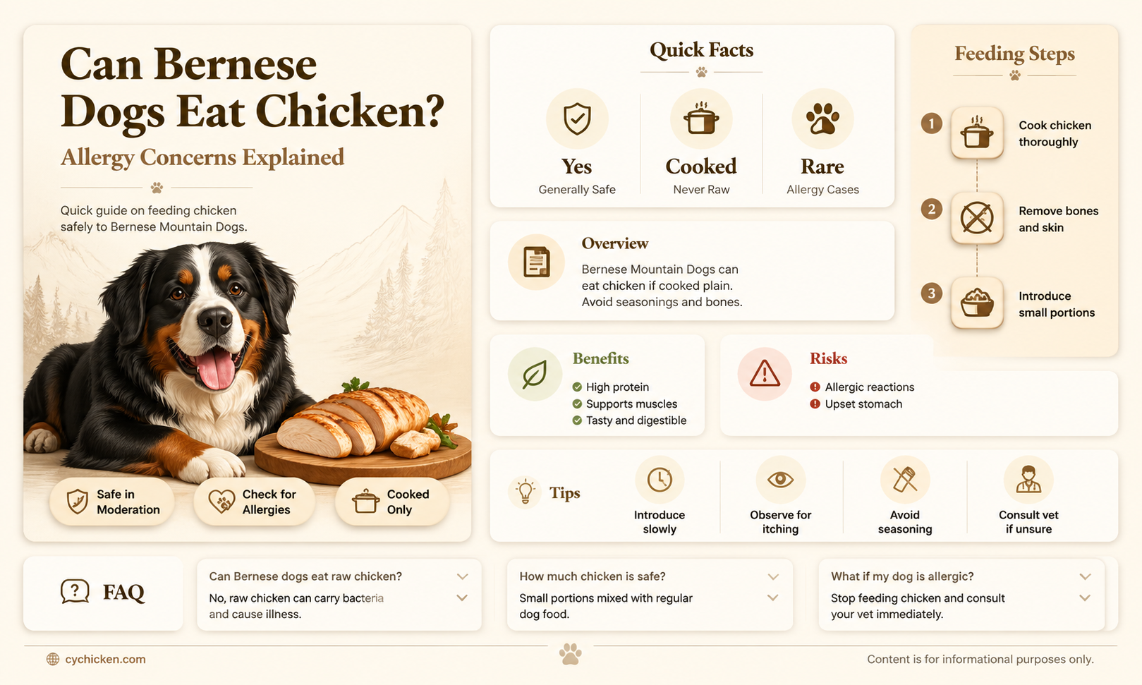 are bernese mountain dogs allergic to chicken
