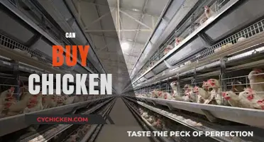 Can You Buy Chicken? A Guide to Smart Poultry Shopping