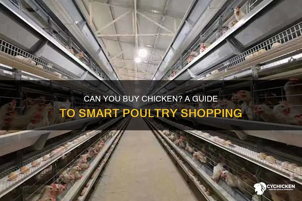 can buy chicken