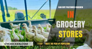 Where to Find Pastured Chicken: Grocery Store Options Explained