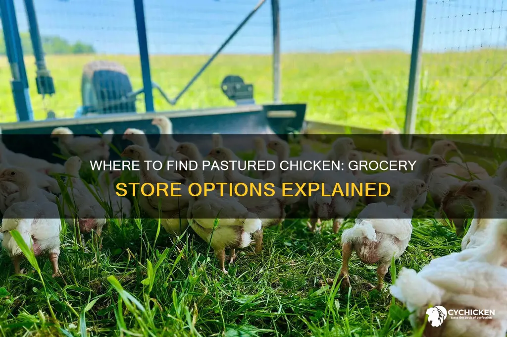 can buy pastured chicken in grocery stores