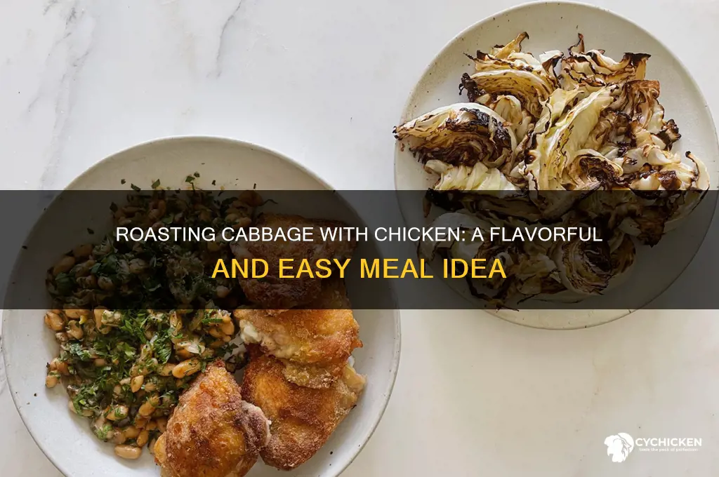 can cabbage be roasted with chicken