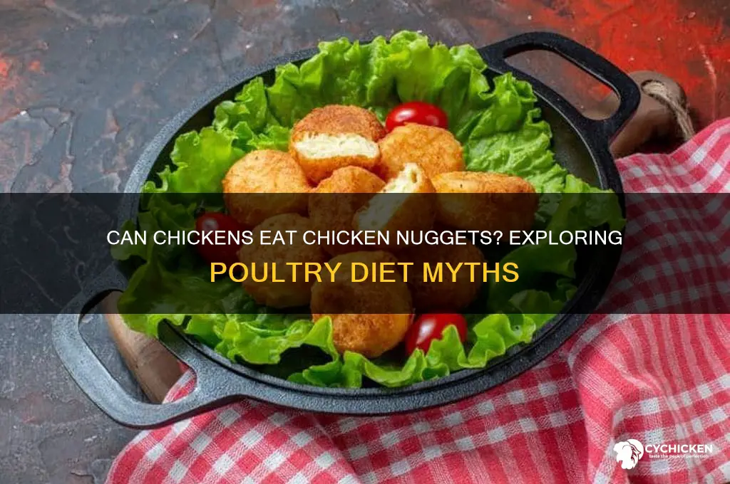 can chicken chicken nuggets