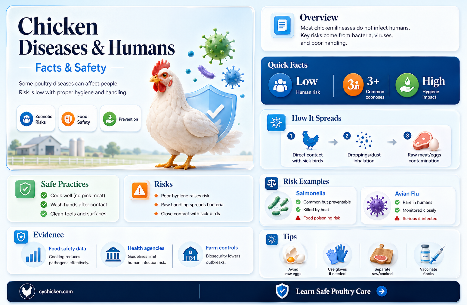 are any chicken diseases contagious to humans