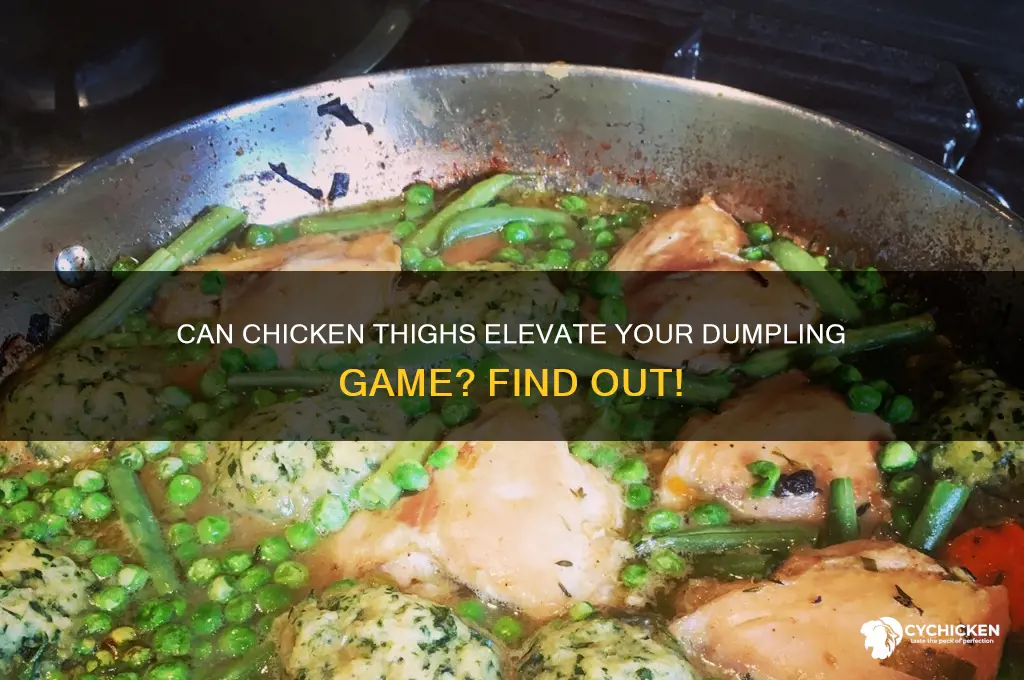 can chicken dumplings be made with thighs