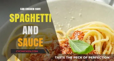 Can Chickens Eat Spaghetti and Sauce? A Safe Feeding Guide