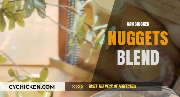 Can Chicken Nuggets Blend? Testing the Limits of Kitchen Blenders