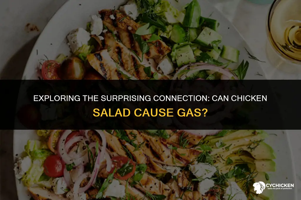 can chicken salad cause gas