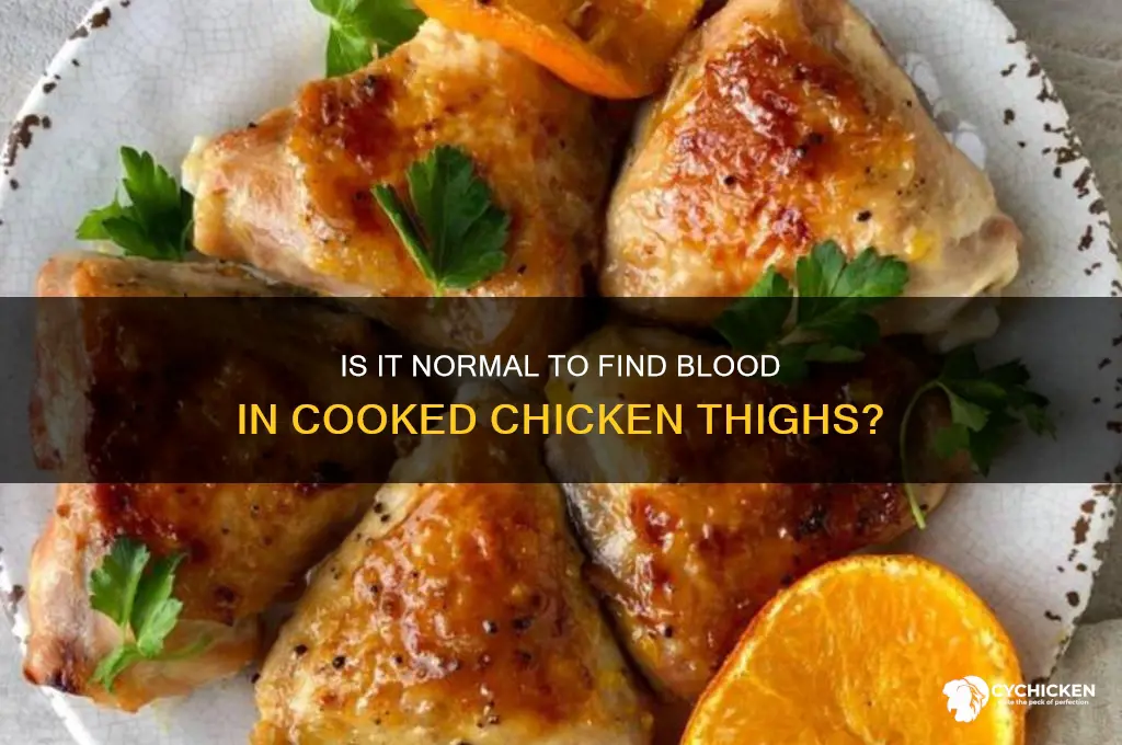 can chicken thigh cooked have blood in it