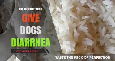 Can Chicken Thighs Cause Diarrhea in Dogs? What to Know