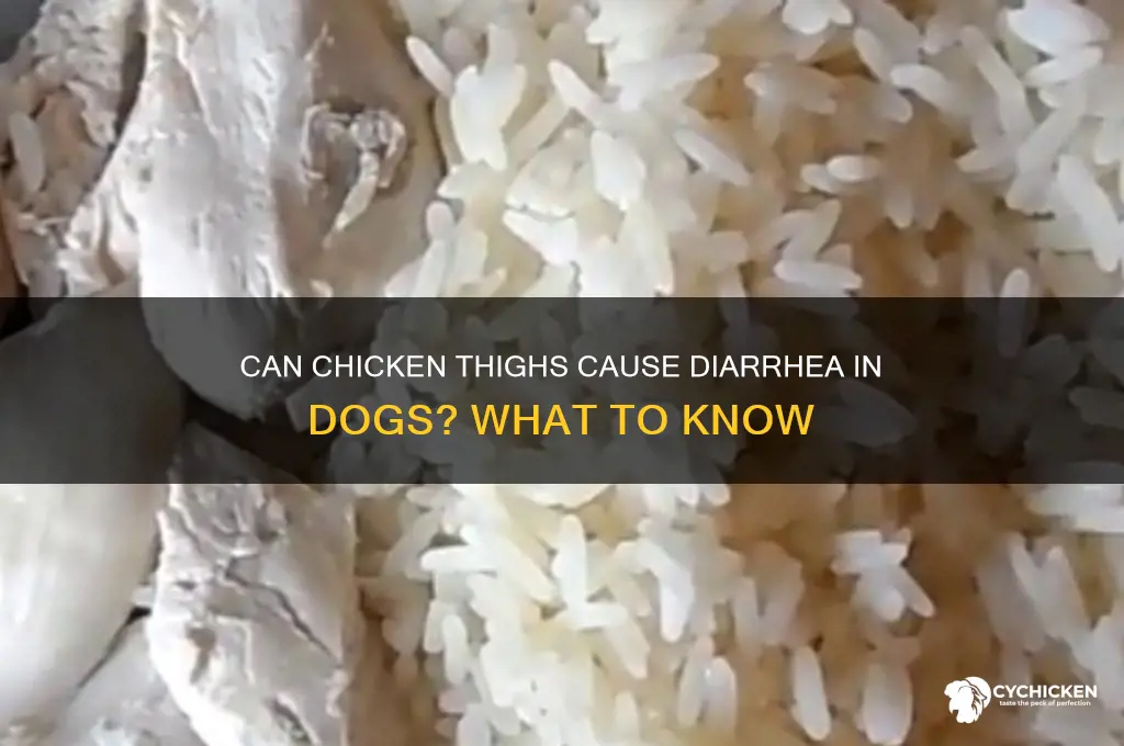 can chicken thighs give dogs diarrhea