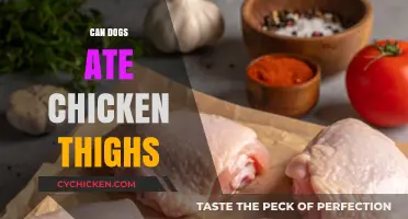 Can Dogs Eat Chicken Thighs? A Safe Feeding Guide