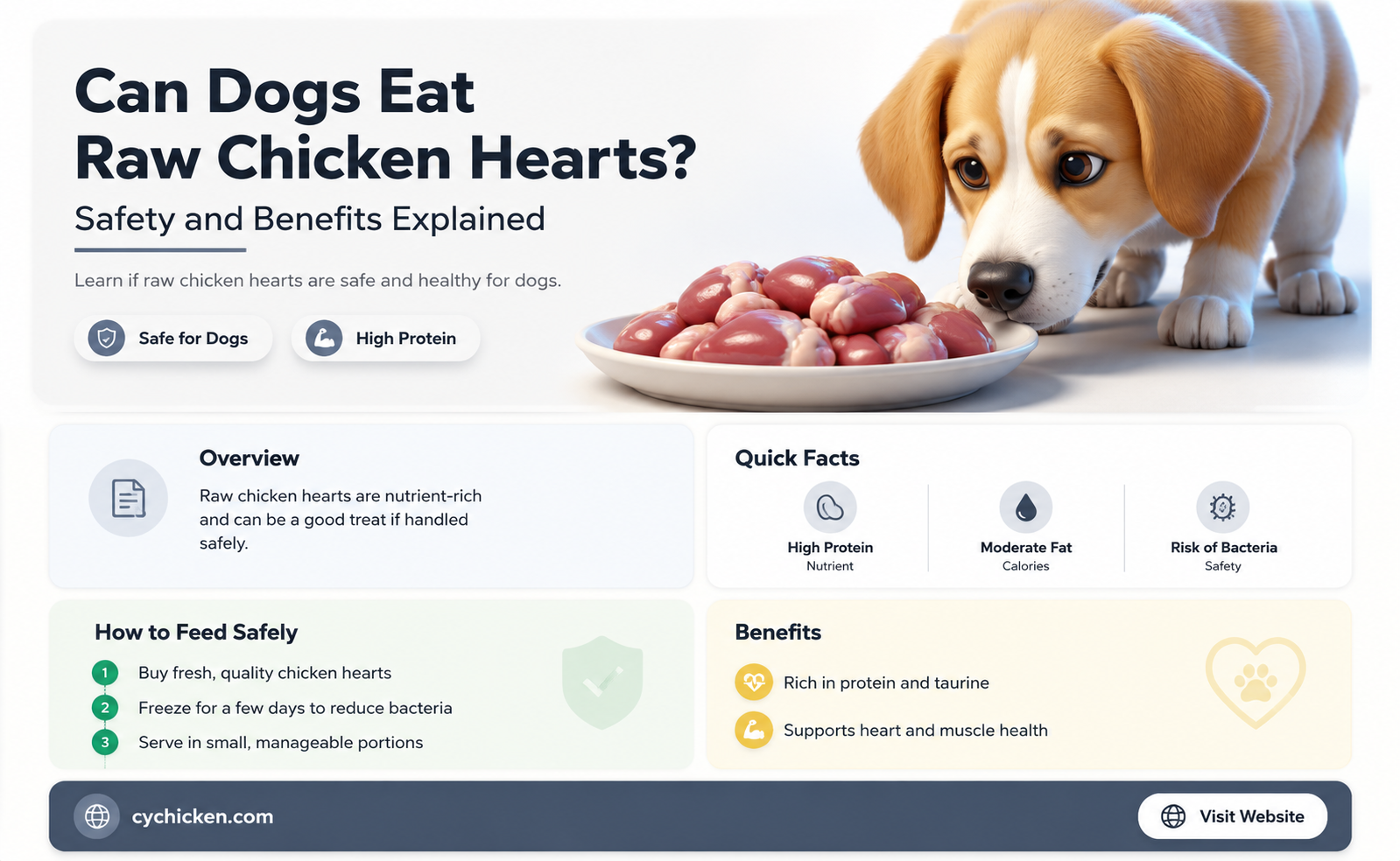 are raw chicken hearts safe for dogs