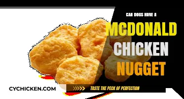 Can Dogs Safely Eat McDonald's Chicken Nuggets? Vet Advice