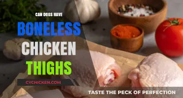 Can Dogs Safely Eat Boneless Chicken Thighs? Vet-Approved Tips
