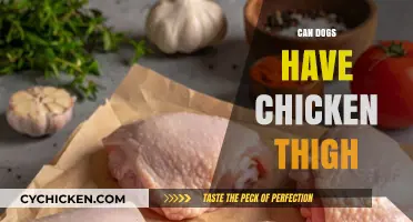 Can Dogs Eat Chicken Thigh? A Safe Feeding Guide