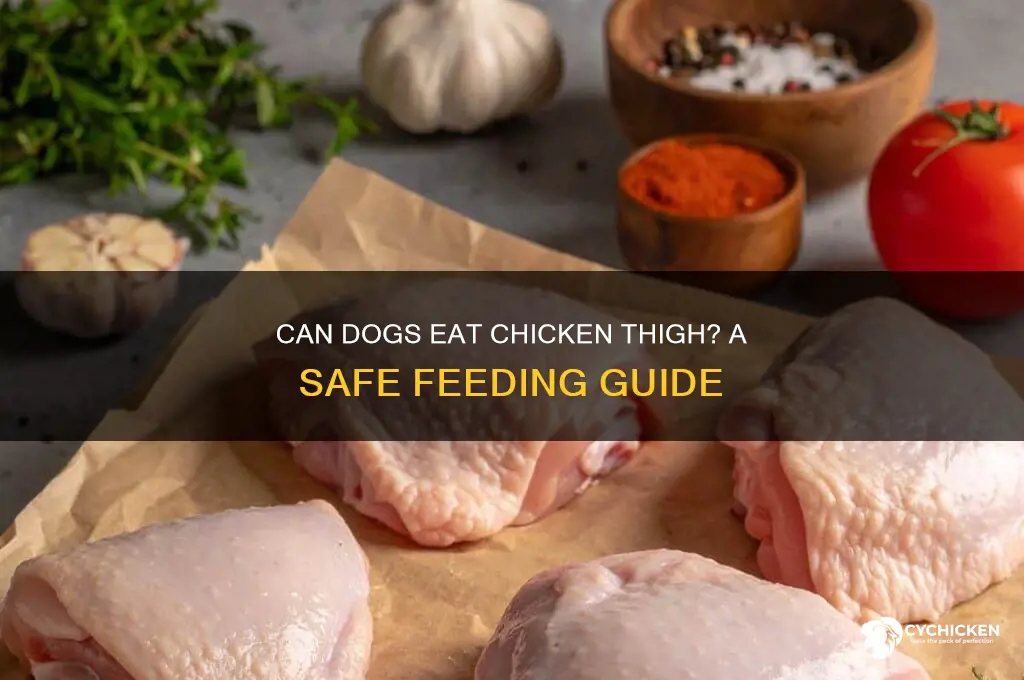 can dogs have chicken thigh