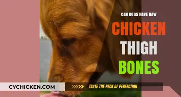 Raw Chicken Thigh Bones for Dogs: Safe or Risky?