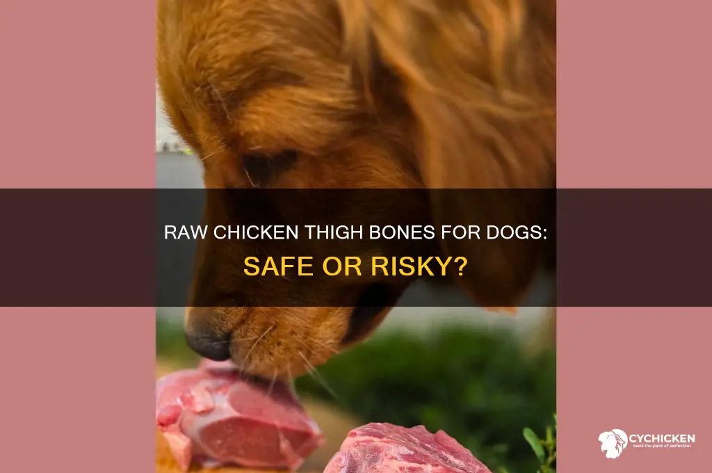 can dogs have raw chicken thigh bones
