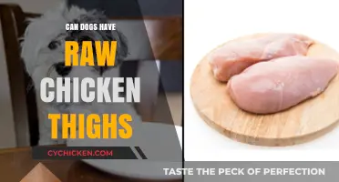 Can Dogs Safely Eat Raw Chicken Thighs? Expert Insights Revealed