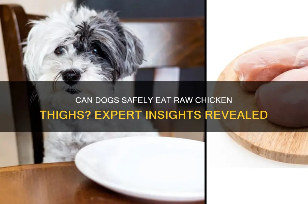 can dogs have raw chicken thighs