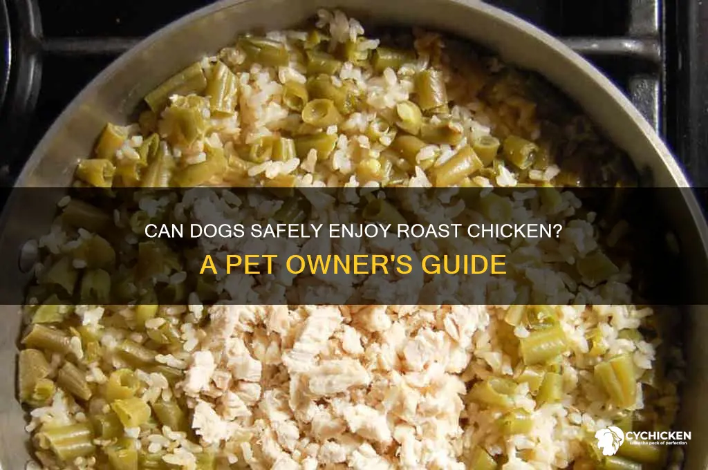 can dogs have roast chicken