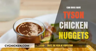 Can Dogs Safely Eat Tyson Chicken Nuggets? A Pet Owner's Guide