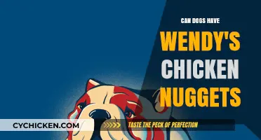 Can Dogs Safely Eat Wendy's Chicken Nuggets? Vet-Approved Advice