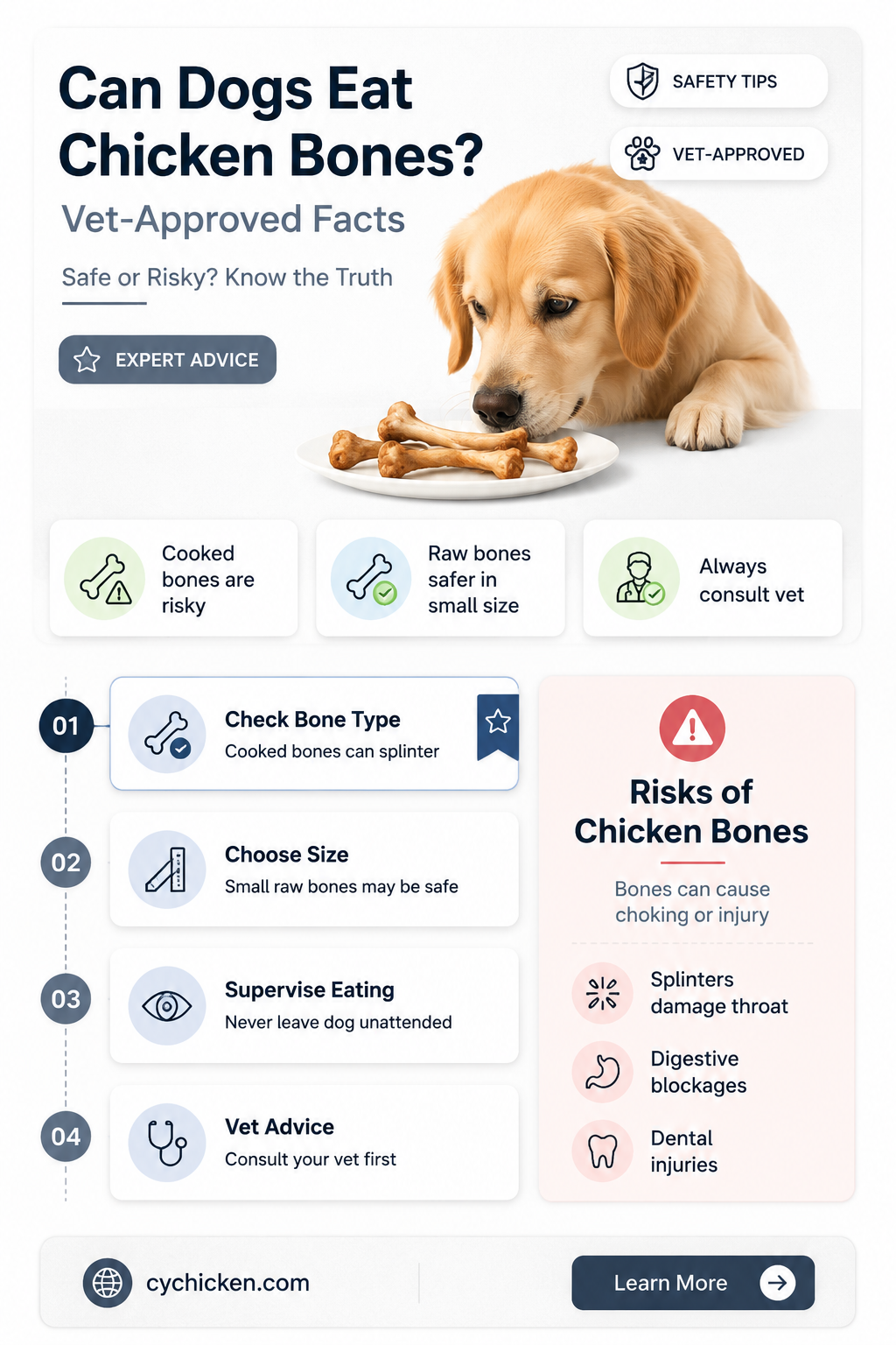 are dogs allowed to have chicken bones