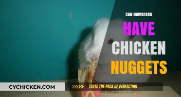 Can Hamsters Eat Chicken Nuggets? A Safe Diet Guide