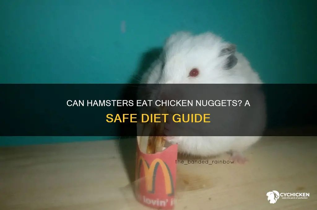 can hamsters have chicken nuggets