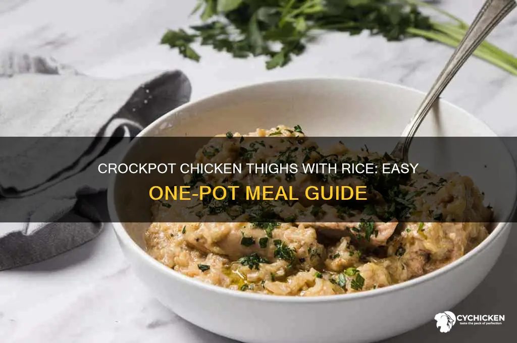 can i add rice to chicken thighs in crockpot