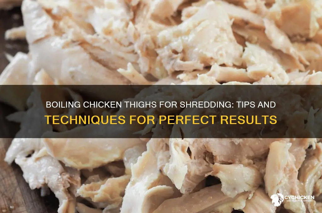 can i boil chicken thighs to shred