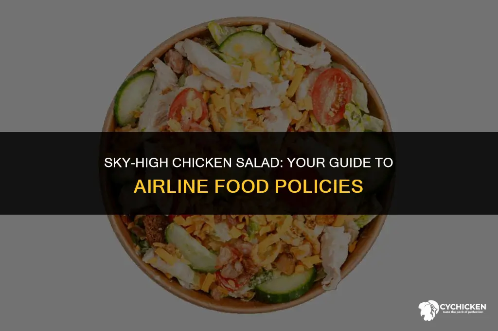 can i bring chicken salad on a plane