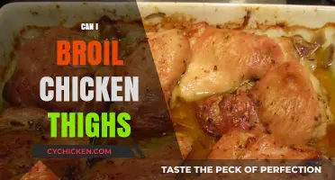 Broiling Chicken Thighs: Tips for Juicy, Crispy Perfection Every Time